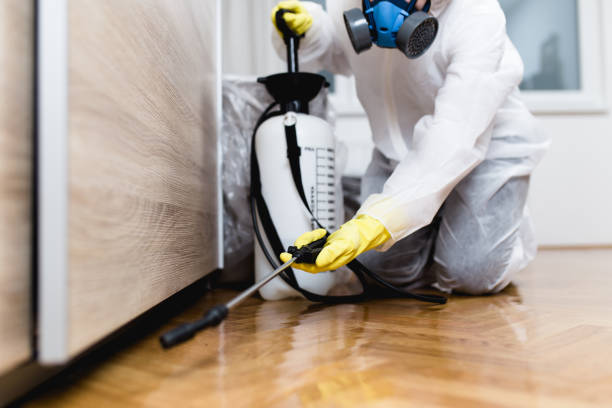 Professional Pest Control in Ketchum, ID