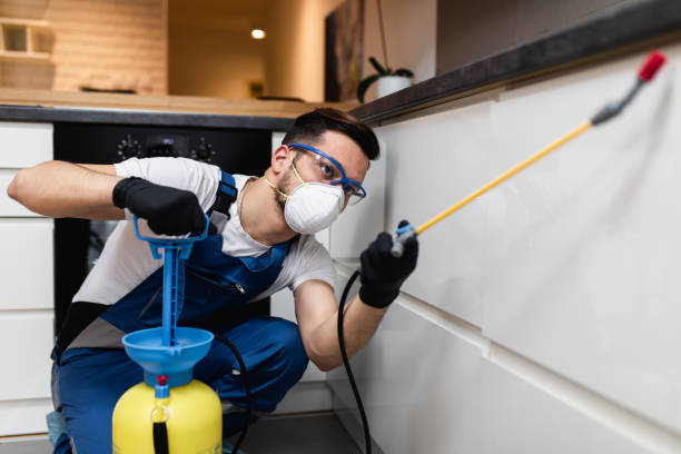 Flea Control Services in Ketchum, ID