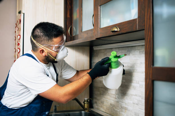Best Commercial Pest Control Services  in Ketchum, ID