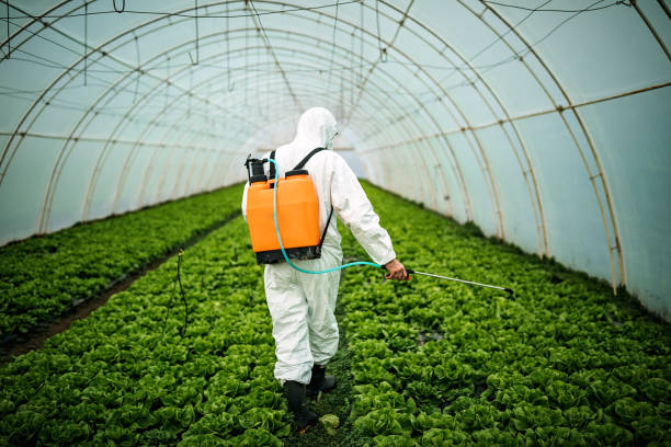 Best Residential Pest Control  in Ketchum, ID