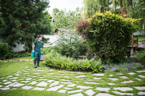 Pest Control Cost in Ketchum, ID