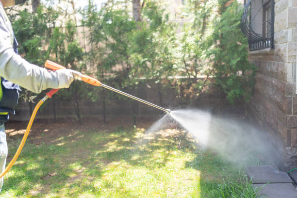 Best Best Pest Control Companies  in Ketchum, ID