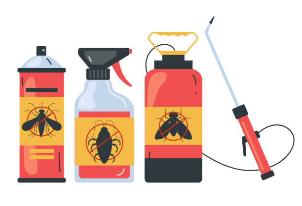 Best Termite Control Services  in Ketchum, ID